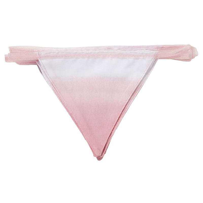 Guirnalda de banderines de tela rosa